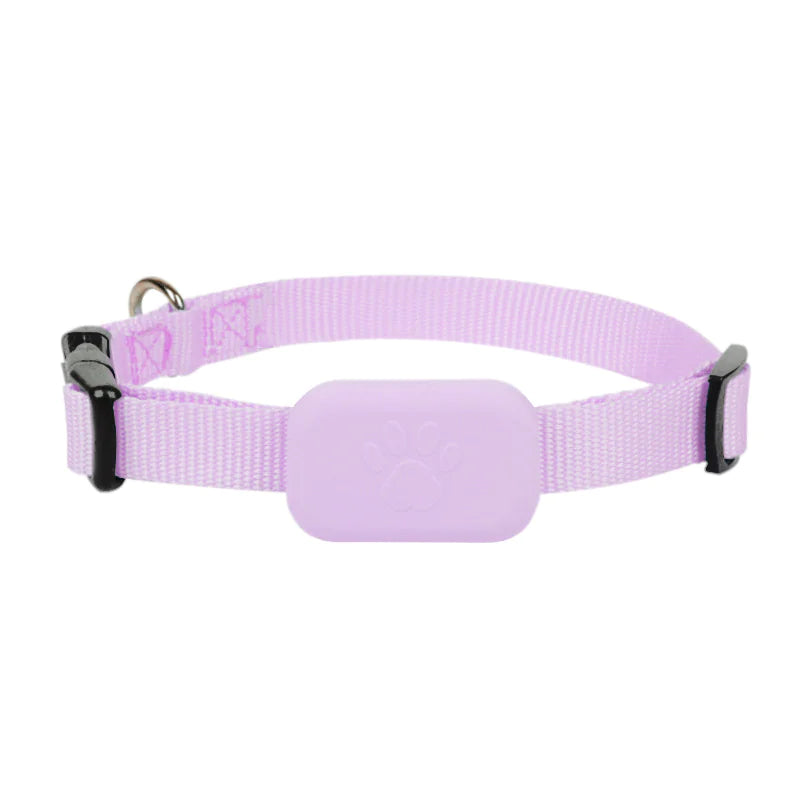 HUISDIER HALSBAND MET GPS