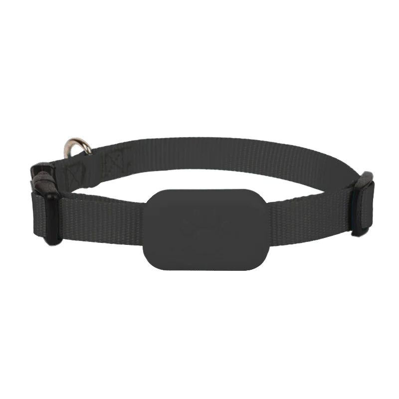 HUISDIER HALSBAND MET GPS