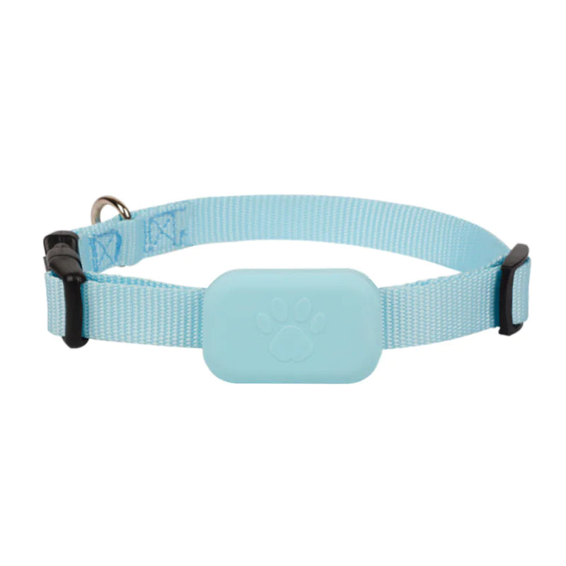 HUISDIER HALSBAND MET GPS