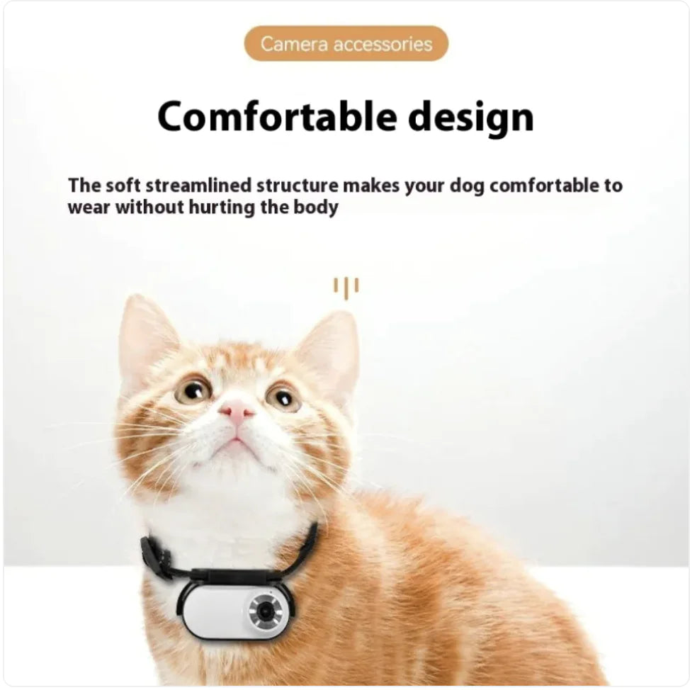 HALSBAND CAMERA VOOR HUISDIEREN