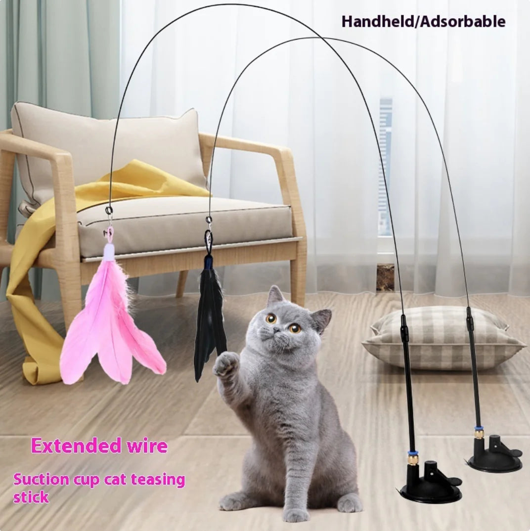ZUIGNAP CAT TEASER MET BEL